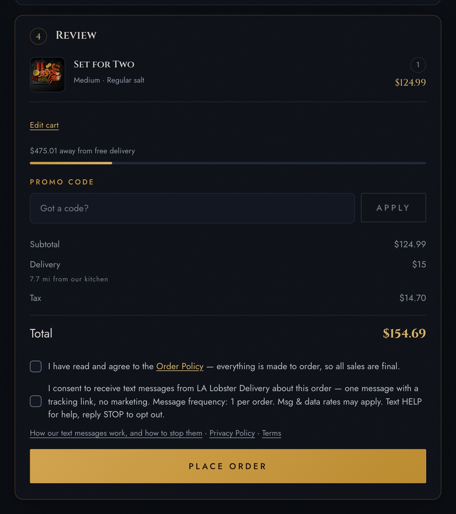 The whole checkout Review step: the item, the promo-code field, subtotal, delivery, tax and total, then the two unchecked checkboxes and the Place Order button.
